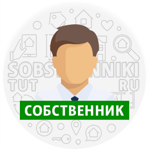 Собственник