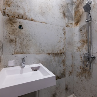 Объявление Студия, 26м2, 2/4 эт