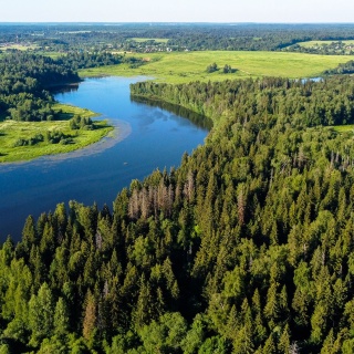 Объявление Земельный участок, 9.19 сот.