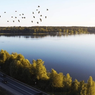 Объявление Дом, 224.2м2, 3 эт, 1.72 сот.