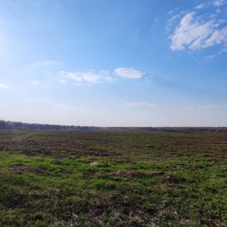 Объявление Земельный участок, 5200 сот.