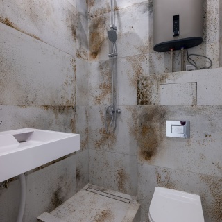 Объявление Студия, 26м2, 2/4 эт