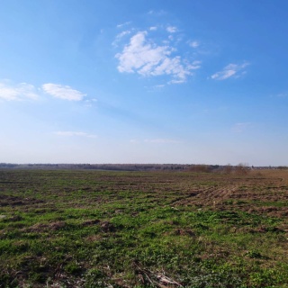 Объявление Земельный участок, 5200 сот.