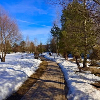 Объявление Земельный участок, 12.5 сот.