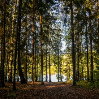 Объявление Дом, 152м2, 2 эт, 7.5 сот.