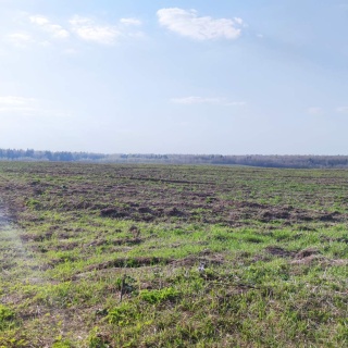 Объявление Земельный участок, 5200 сот.