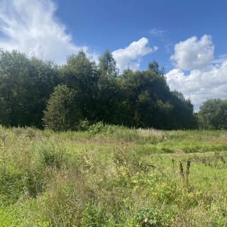 Объявление Земельный участок, 20.269 сот.