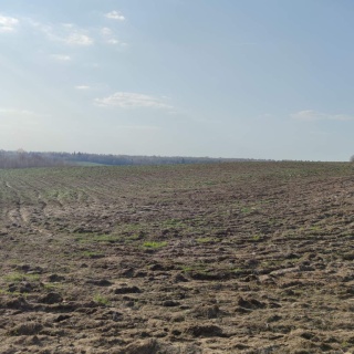 Объявление Земельный участок, 2700 сот.