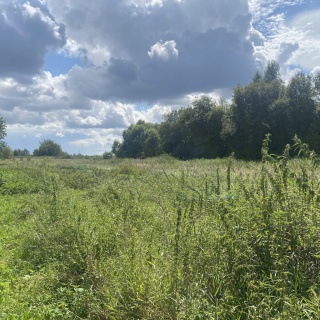 Объявление Земельный участок, 20.269 сот.