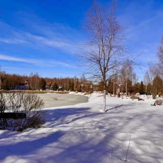 Объявление Земельный участок, 12.5 сот.