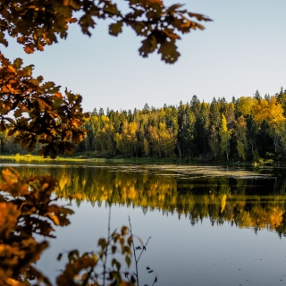 Объявление Дом, 152м2, 2 эт, 7.5 сот.
