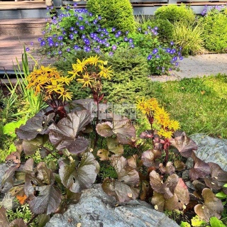 Объявление Дом, 170м2, 1 эт, 35 сот.