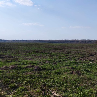 Объявление Земельный участок, 5200 сот.