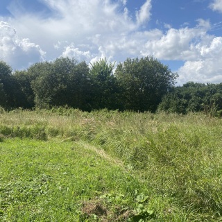 Объявление Земельный участок, 20.269 сот.