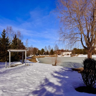 Объявление Земельный участок, 12.5 сот.