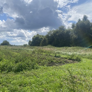 Объявление Земельный участок, 20.269 сот.