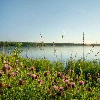 Объявление Дом, 224.2м2, 3 эт, 1.73 сот.