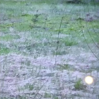 Объявление Земельный участок, 10 сот.