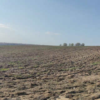 Объявление Земельный участок, 2700 сот.