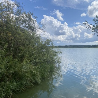 Объявление Земельный участок, 20.269 сот.