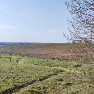 Объявление Земельный участок, 2700 сот.