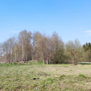 Объявление Земельный участок, 5200 сот.