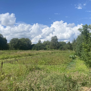 Объявление Земельный участок, 20.269 сот.