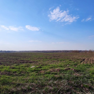 Объявление Земельный участок, 5200 сот.