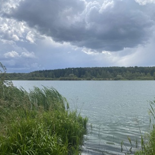 Объявление Земельный участок, 20.269 сот.