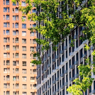 Объявление Студия, 29.52м2, 30/32 эт